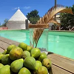 Alojamento de Acomodação e Pequeno-almoço La Relais Del Trullo Putignano